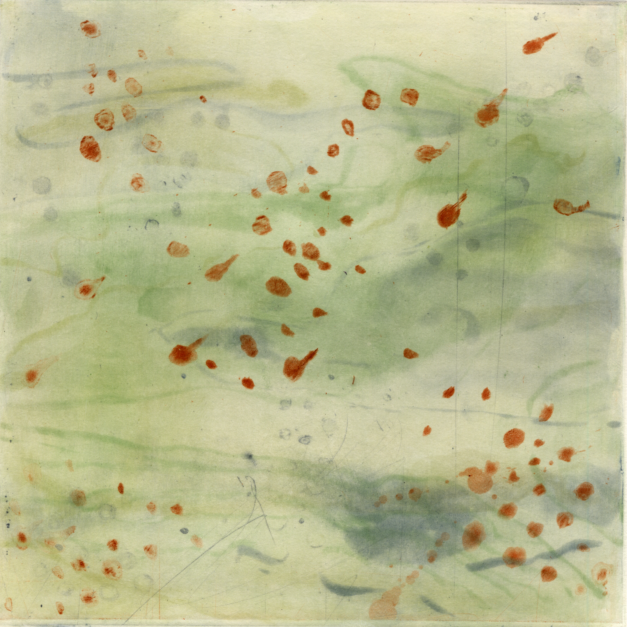 Joan Dix Blair "Surfaces, Red Algae" etching 8" x 8" 2012