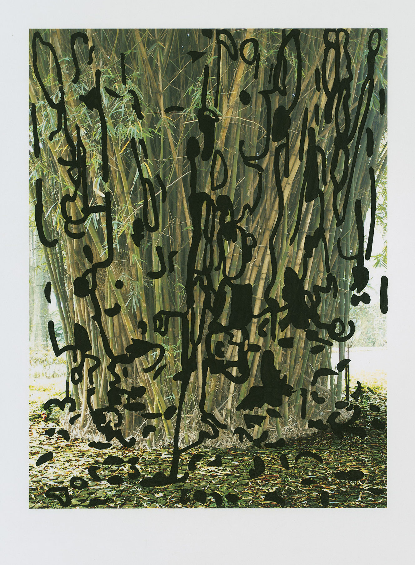 Barbara Foster “Bambusa Vulgaris” Taiwanese U.V. print and Sumi ink stencil on Awagami Kozo thick paper 32" x 26" 2014