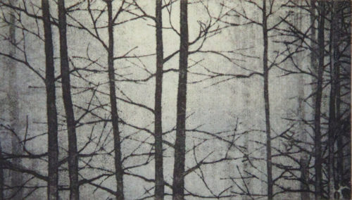 Linda Yoshizawa, The Woods Beyond, Solarplate etching, 6 x 10 in, 2017