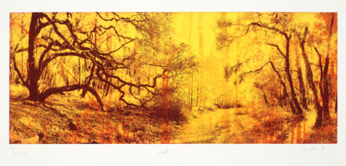 Margaret Niven, Eden 4 of 10, photo polymer intaglio chine collé and chalk pastel, 15 x 30 in, 2021
