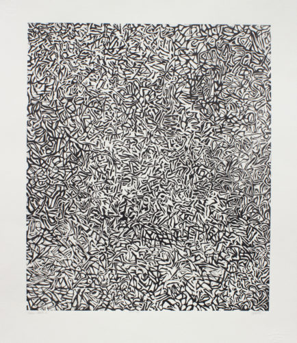 Susan Leone Howe, Grass State no.1, woodcut, 20.5 x 17 in, 2015