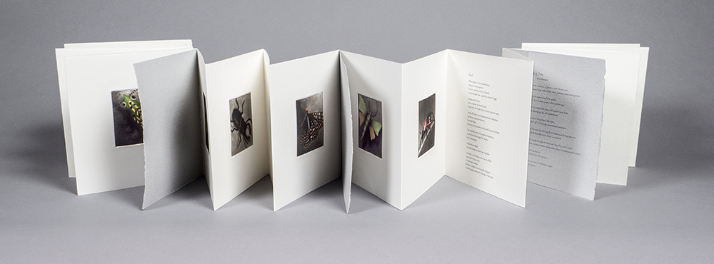 Rhiannon Alpers (in collaboration with Holly Downing and Jane Hirshfield),  Vanishing Artist Book, 7.25 in x 7.25 in closed, 7.25 in x 140 in fully open, 2021