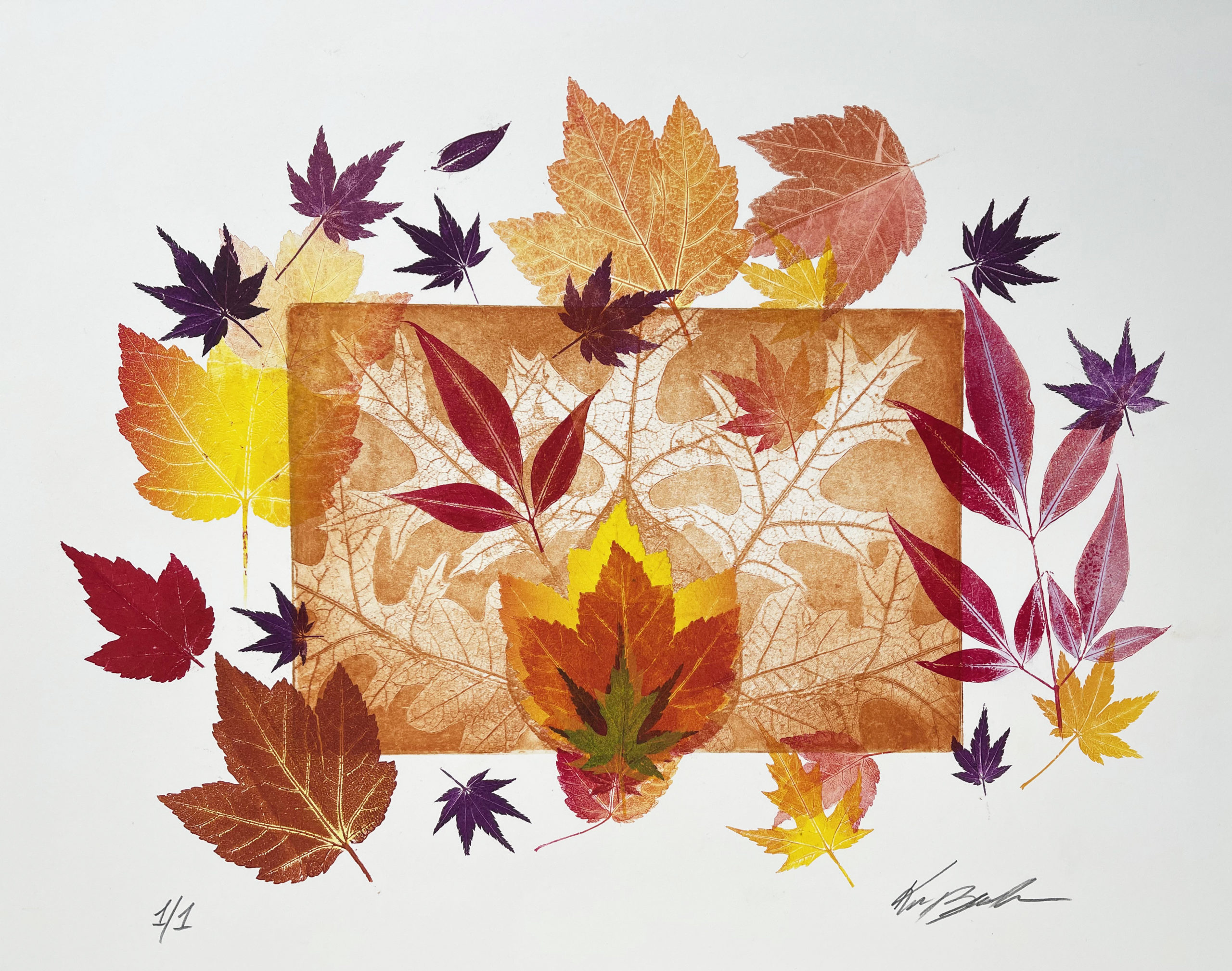 Karen Baden Thapa, Falling Leaves, Monoprint, 15 in x 17.5 in, 2020