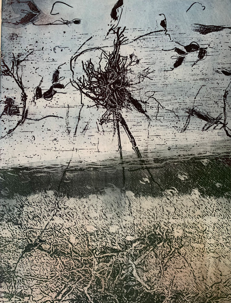 Danguole Kuolas, Uprooted, Photopolymer etching, 12 in x 9 in, 2021