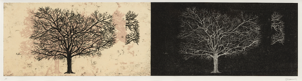 Debra Jewell, Gone Silent, Trace Monotype, 19 in x 43 in, 2015