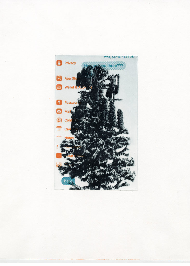 Mary V. Marsh, Here/Hear: Fir Top, privacy, photopolymer intaglio, photopolymer letterpress on Hahnemuhle