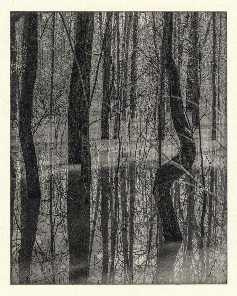 Megan Pater, The Mind and the Land (Untitled 1), Photopolymer gravure, 10 in x 8 in, 2021