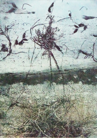 Danguole Kuolas Uprooted Photopolymer etching