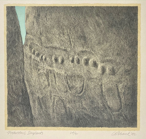 Prehistoric Implants, Cynthia Osborne, lithograph, 13.5 x 12.5 inches. Photo: Roxanne Sexuaer